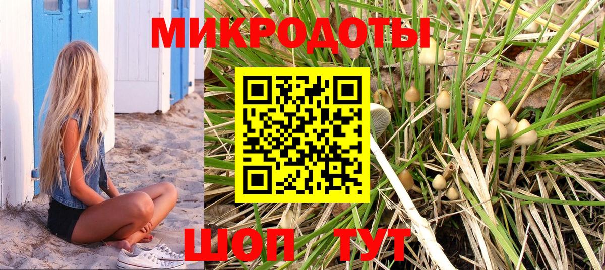 Печора  Псилоцибиновые грибы Psilocybe  как найти   Вход с VPN  Псилоцибиновые грибы Psilocybe 