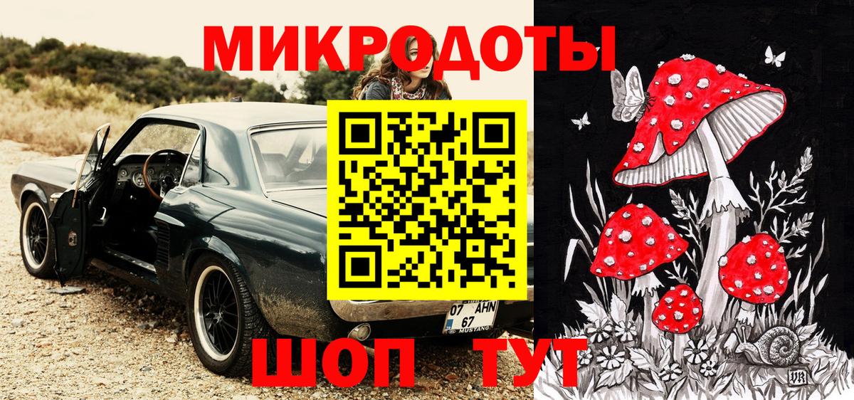 Галлюциногенные грибы Psilocybe Печора